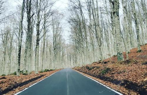 Casal'terra - Il Fosso - Foto 48