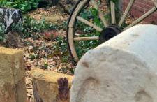 Mutti 's Landhaus - Photo 4