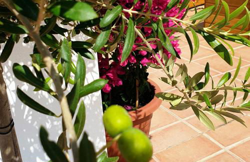 Appartement Super Terrasse Vue Panoramique Mer - Foto 40