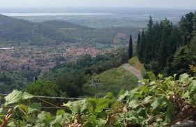 Baita Chalet del Colle - Foto 10