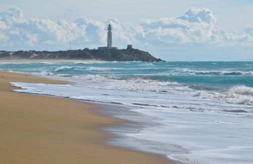 Finca el Abuelo Manuel - Foto 26