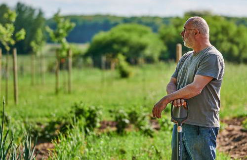 FELDGANG ein Gästehaus! - Foto 25