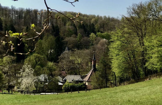 Countryside Apartment Near the Lake - Foto 42