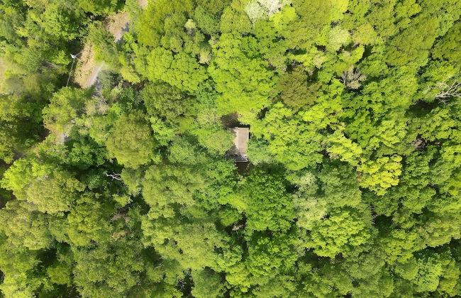 A Humble Abode - A Modern Woodsy Retreat - Foto 17