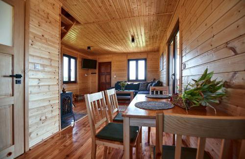 Domki całoroczne DŁUGOSZÓWKA pod Rzeszowem, Jacuzzi-Sauna-Basen-Alpaki - Foto 46