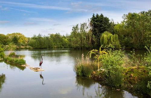 Secret Island Yurt - Foto 11