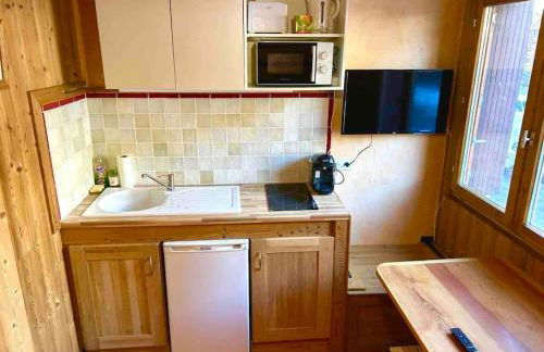 Studio pour 3 personnes au pied des pistes - Photo 10