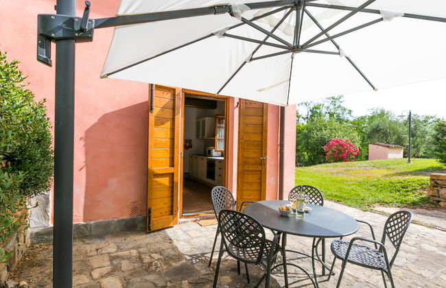 Francigena - Foto 19