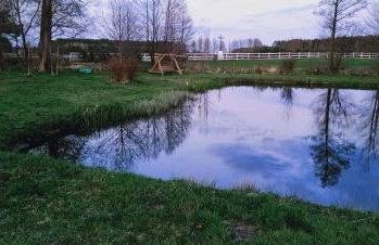 Nowy Domek na Mazurach - łowisko ryb - Foto 20