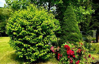 Siedlisko Nad Potokiem - Foto 13