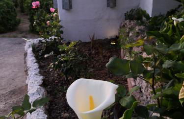 Finca Sa Cova de Mallorca - Foto 43