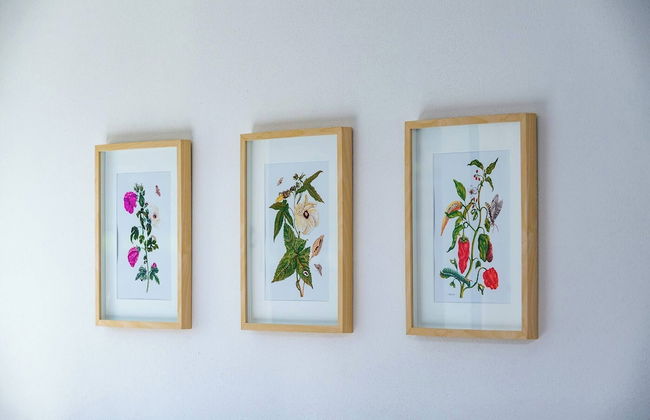 Le Rose Di Marianne - Ovest - Foto 30