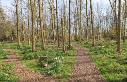 Yewberrie Yurt - Foto 20