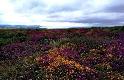 1 Bed in Kilve oc-kilve - Foto 18