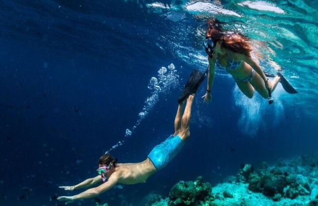 Snorkeling compartilhado de dia inteiro nas Ilhas Hamata saindo de Marsa Alam - Foto 16