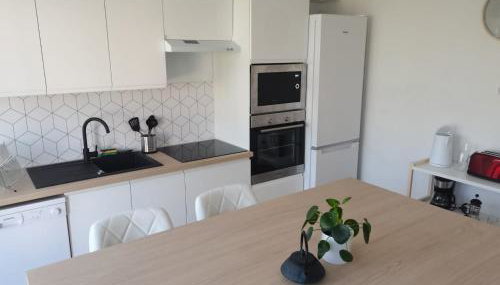 Belle Maison 12p 6 couchages TOURS CENTRE avec jardin - Foto 4