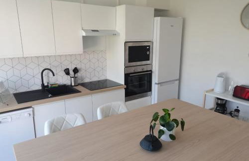 Belle Maison 12p 6 couchages TOURS CENTRE avec jardin - Foto 4