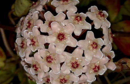 Quinta Da Bela Vista - Photo 44