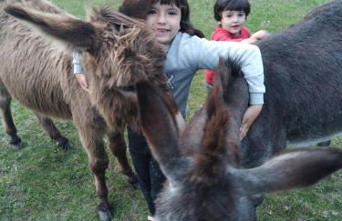 eco nature, gite à la ferme - Foto 21