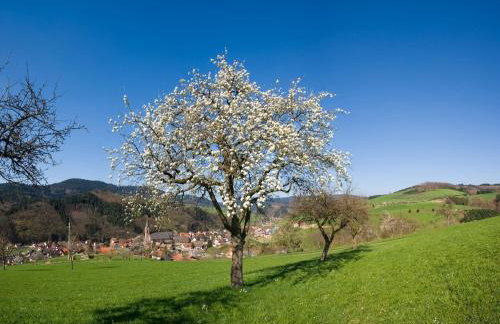 Ferienwohnungen Golla-lang - Foto 20