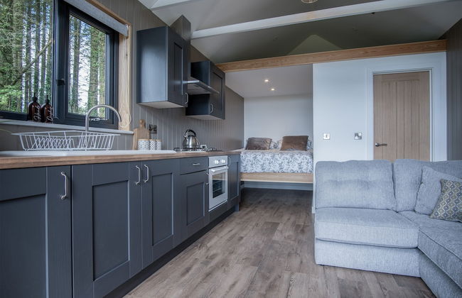 Cabin In The Woods - 1 Bed - Kilgetty - Foto 9