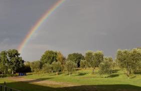 Agriturismo Podernuovo - Foto 62