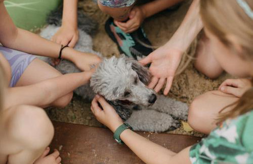 Osada Jelonki Wielka Puszcza - Foto 53