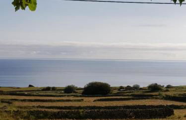 Casa do Plátano - Photo 17