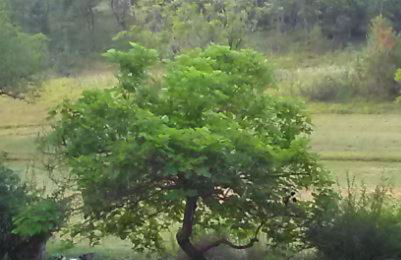 Les Gites Accromagnon, Climatisation - Photo 10