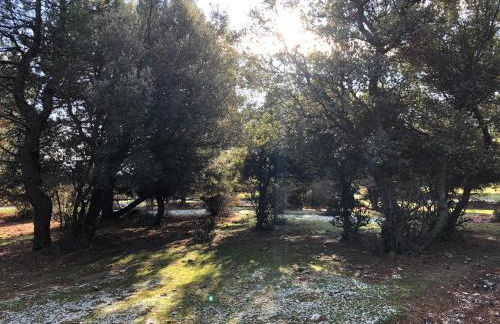 LA OLMA apartamentos - Foto 25