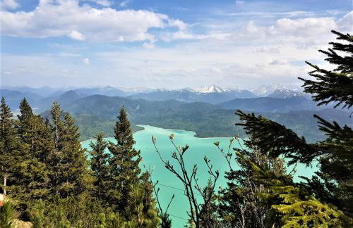 Ferienwohnung Royal Walchensee - Foto 55