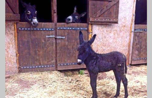 Elati Hills - Photo 50