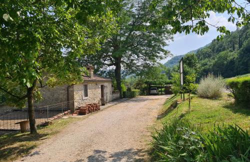 Agriturismo PEDROSOLA - Photo 76