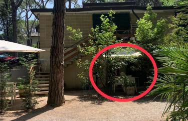 Home C 44 con posto spiaggia - Foto 2