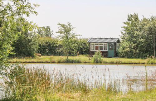 Kingfisher - Foto 20