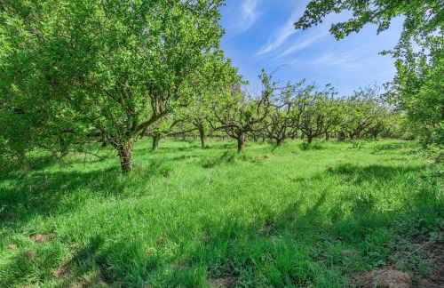 1 Bed in Burnham Overy Town oc-o31908 - Foto 27