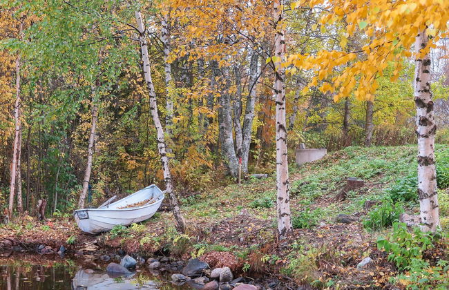 Villa lehmus - Foto 40