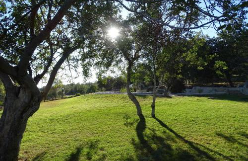 Quinta do Julião - Foto 15