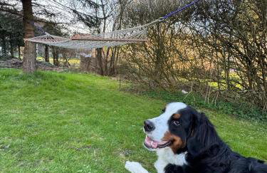 Waldzauber - Moderne Ferienwohnung im Grünen - Foto 20