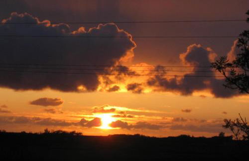 Sonnenoase - Photo 13