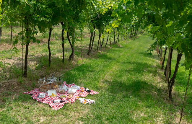 Massimago Wine Relais - Foto 71