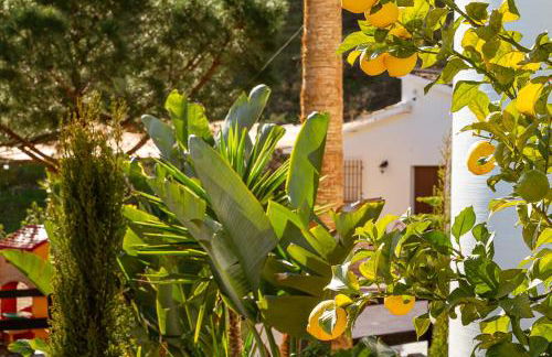 Cortijo La Cañada - Foto 41