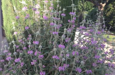 1 chambre 1 cuisine & salle d'eau privées avec piscine et jacuzzi - Foto 22