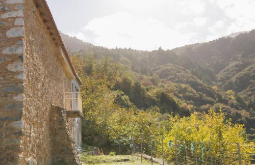 Taygeti's mountain lodge - Foto 33