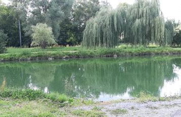 Domki pod Brzozą - Foto 27