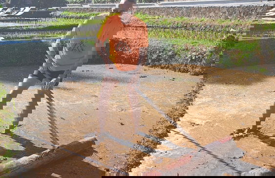 Bali De Pardis Cottage - Foto 22