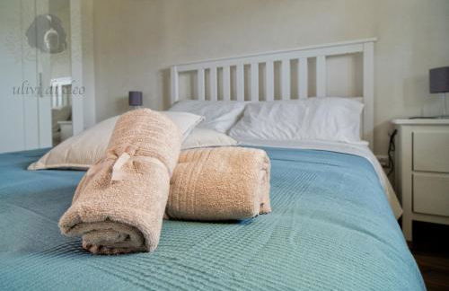 Ulivi di Cleo - Foto 23