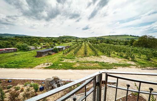 Ferienhof Schlössle - Foto 13