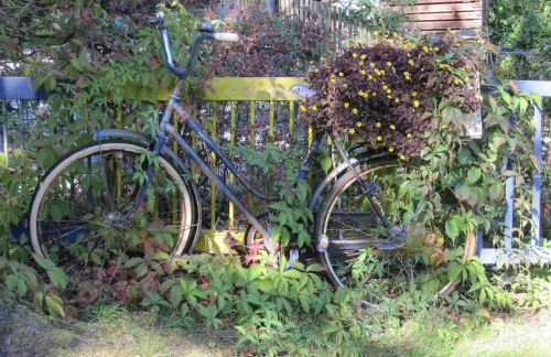 Ferienwohnungen Blätterrausch - Foto 32