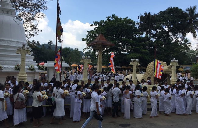 Explore Central Srilanka - Foto 19